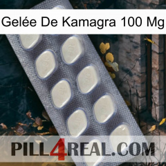Gelée De Kamagra 100 Mg 08
